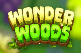 Wonder Woods