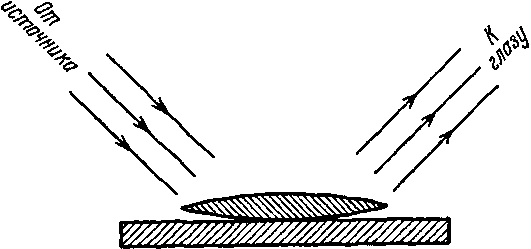 Оптика. Схема устройства для наблюдения колец Ньютона.